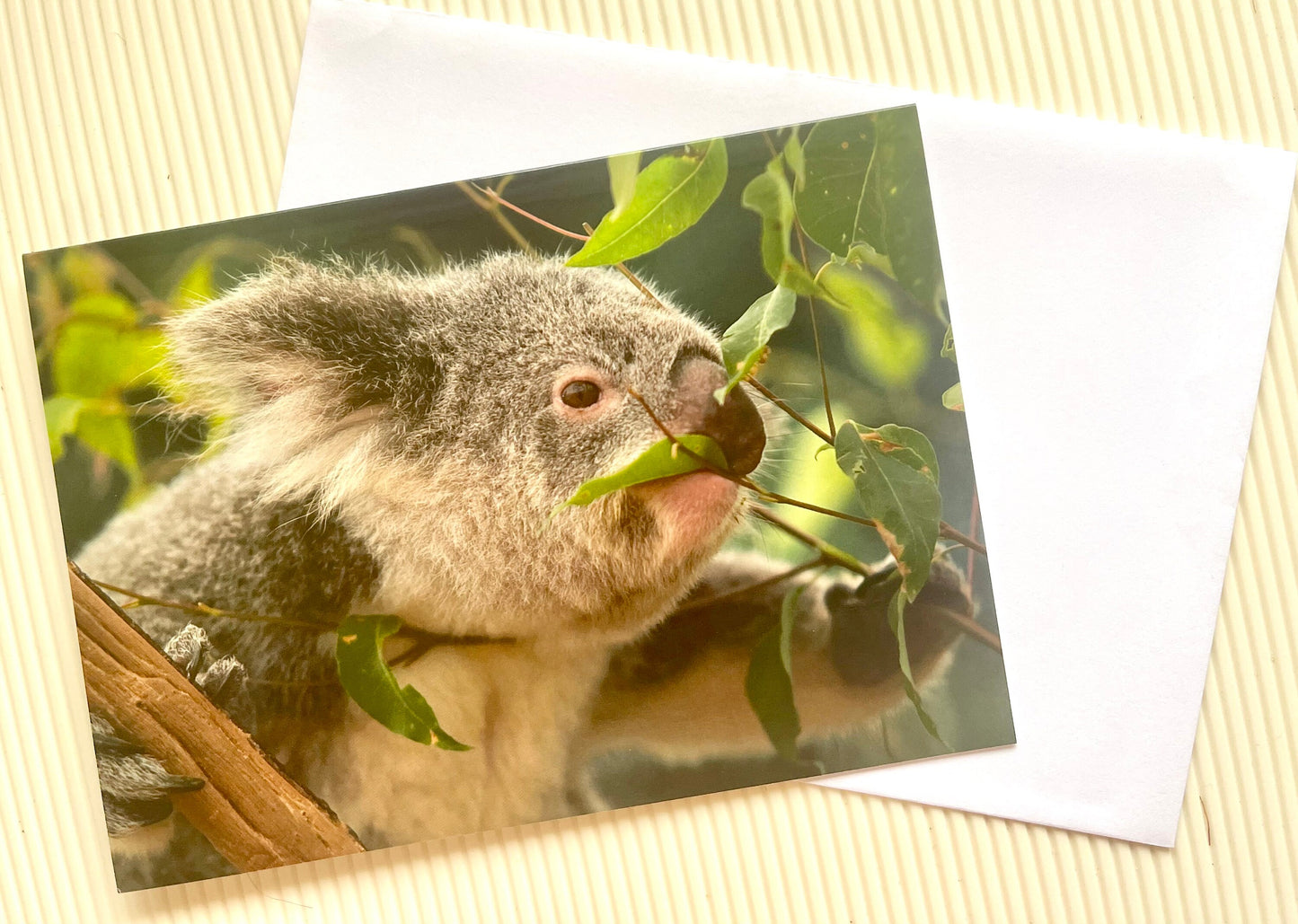 Beautiful Koala Greeting Card